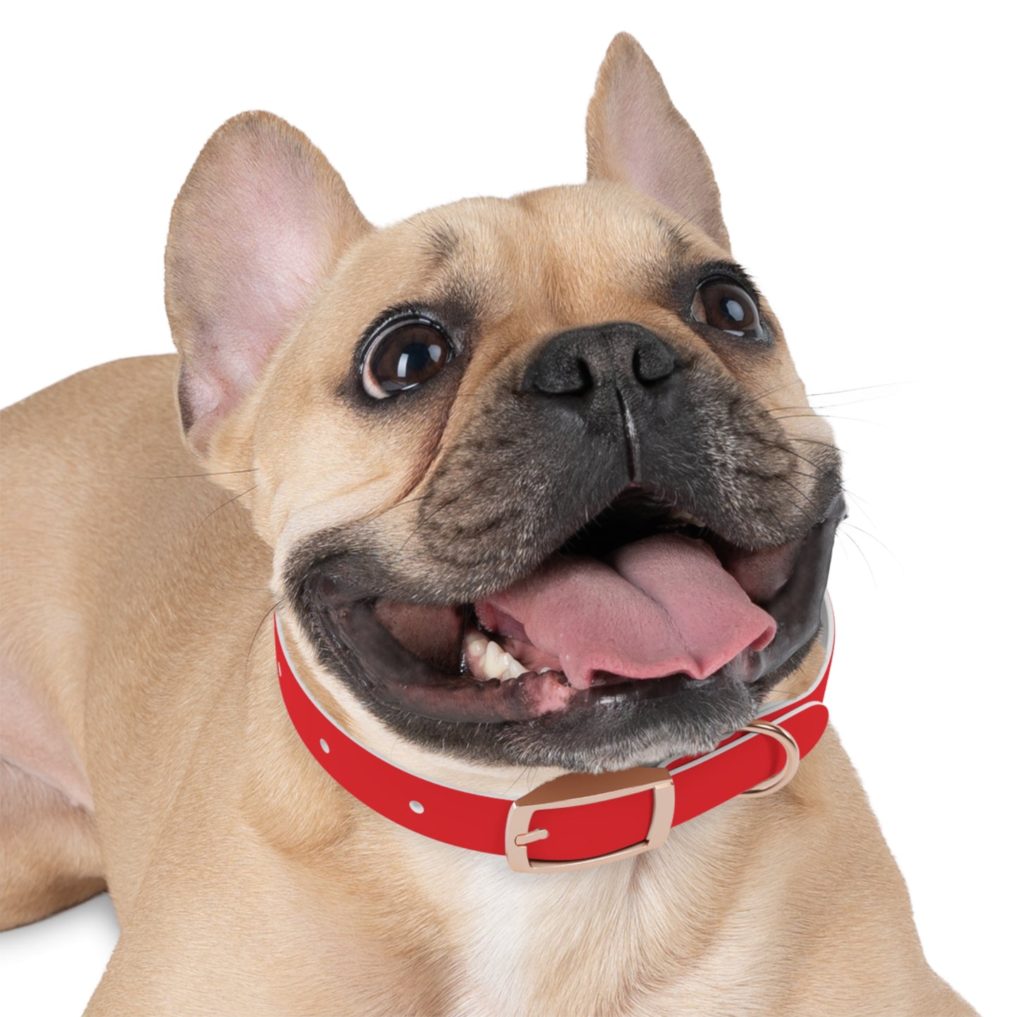 Personalized Dog Collar - Red "Dog Mom" Design for Stylish Pet Owners