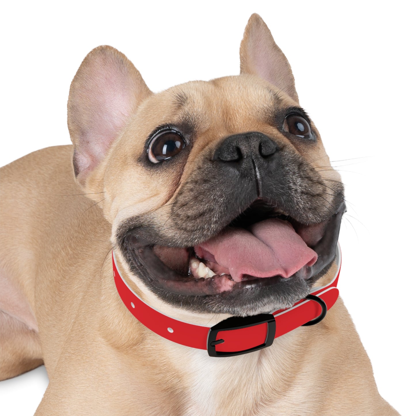 Personalized Dog Collar - Red "Dog Mom" Design for Stylish Pet Owners