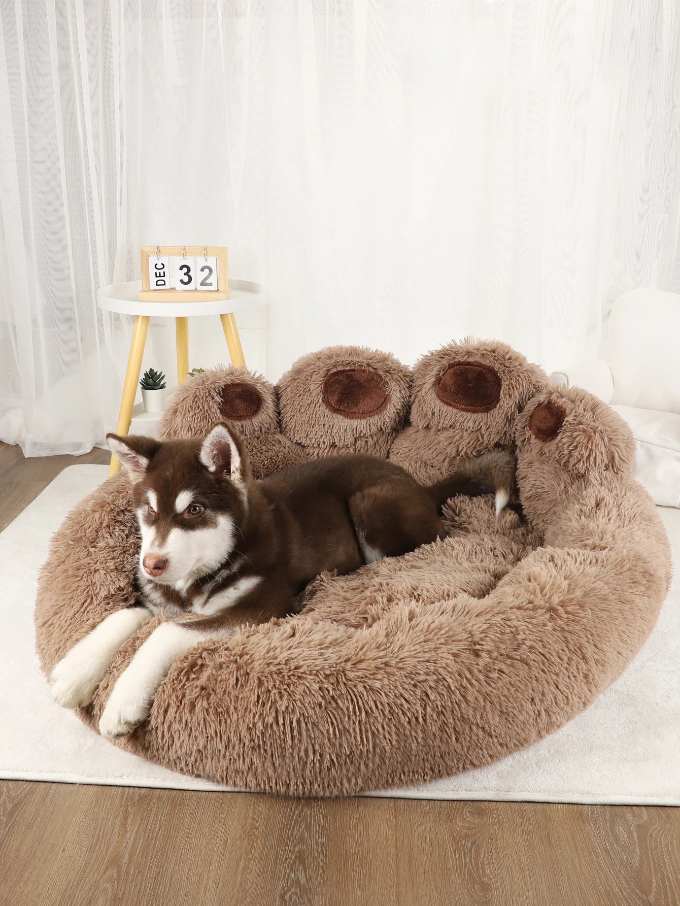 Pet Dog Sofa Beds for Small Dogs