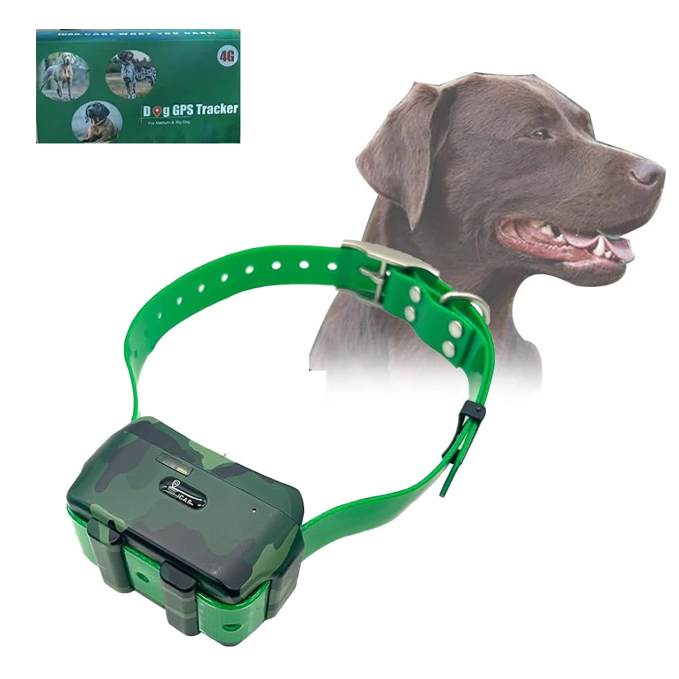 Pet Tracker Large Animal Collar with Free App