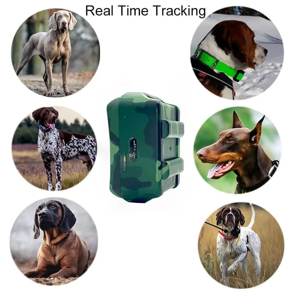 Pet Tracker Large Animal Collar with Free App