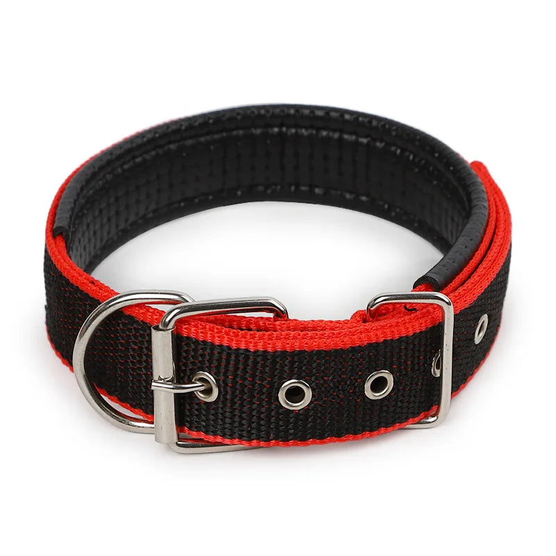 Adjustable Collar For Dog Cat  Small Large