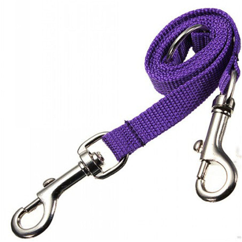 Outdoor Walking Two Dogs Leash