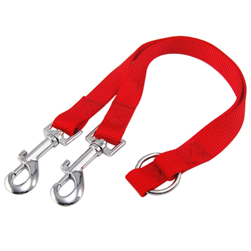 Outdoor Walking Two Dogs Leash