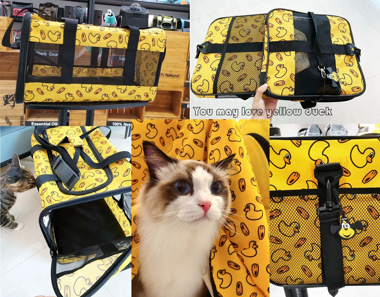 Small Pet Cat Carrier Bag Transport Breathable Fashion Handbag