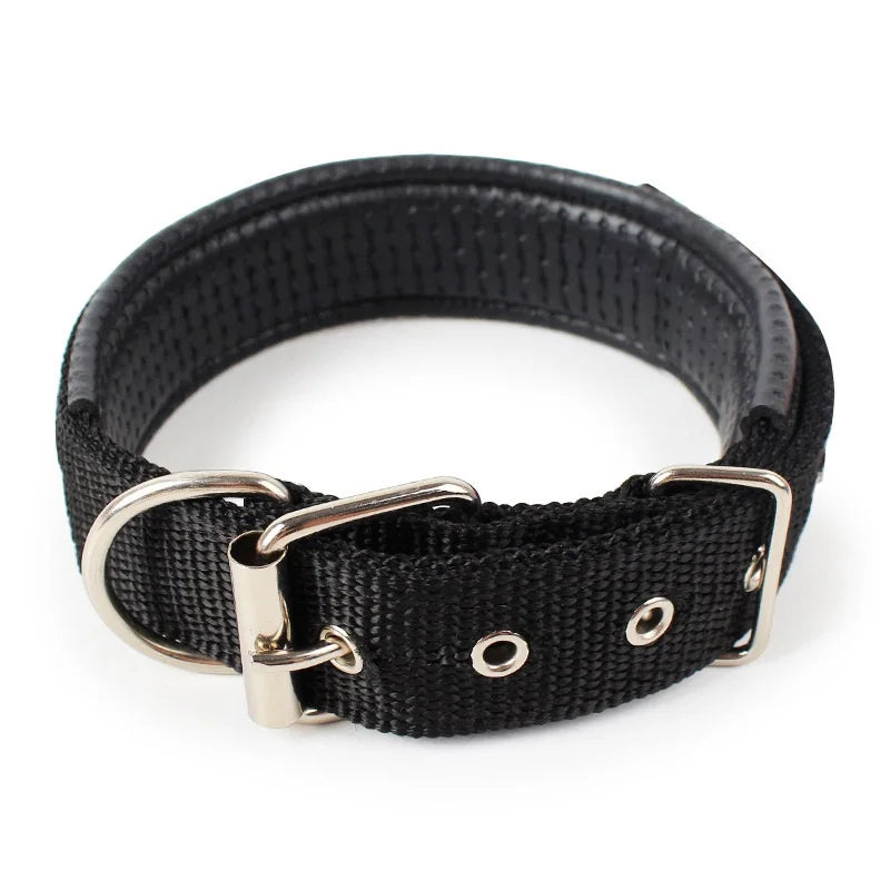 Adjustable Collar For Dog Cat  Small Large