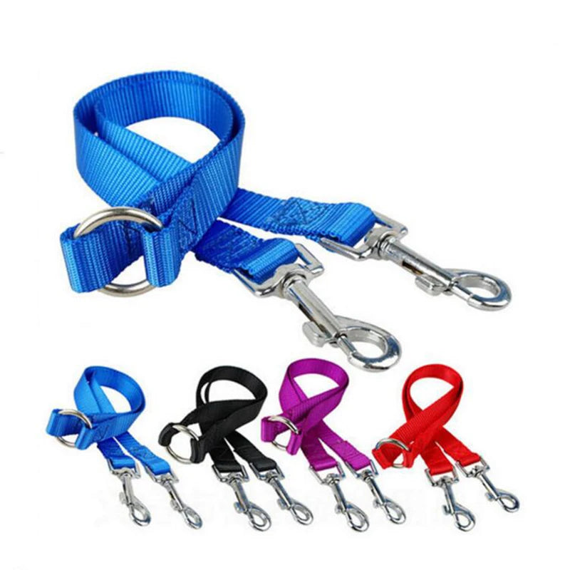 Outdoor Walking Two Dogs Leash