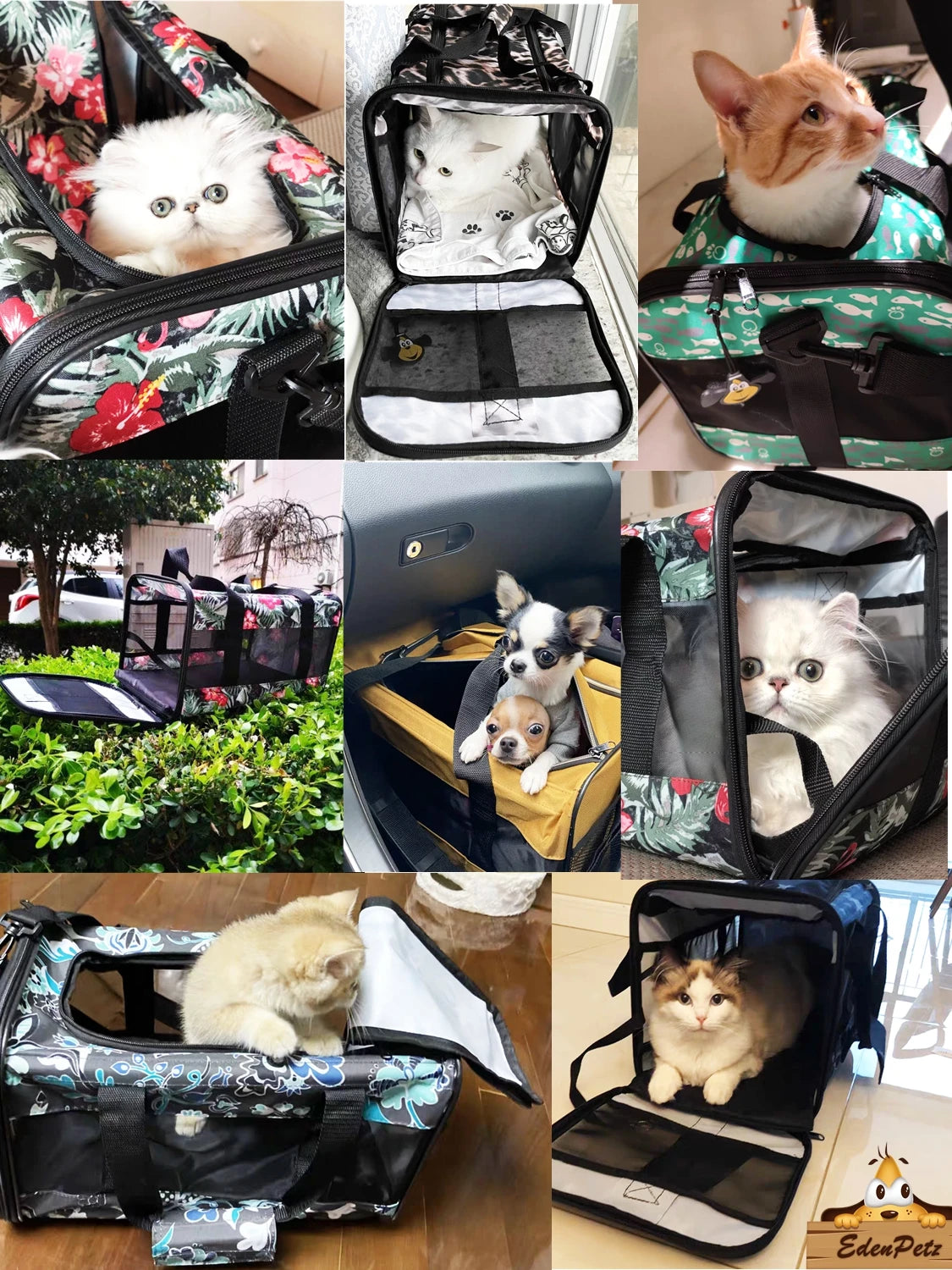 Small Pet Cat Carrier Bag Transport Breathable Fashion Handbag