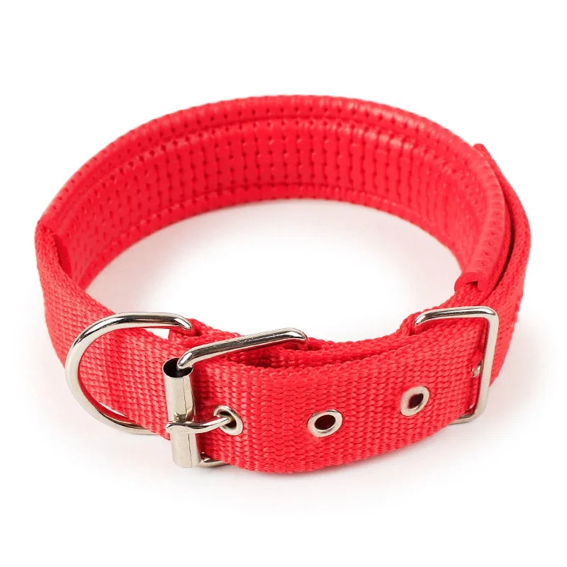 Adjustable Collar For Dog Cat  Small Large