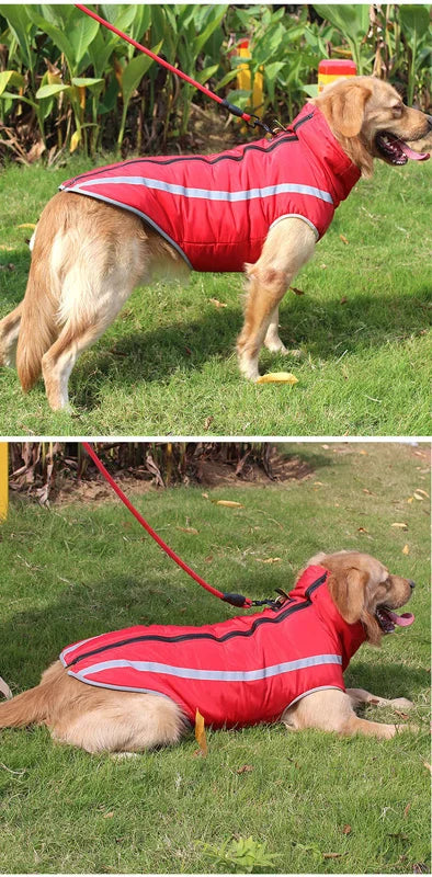 Waterproof Dog Clothes for Dogs