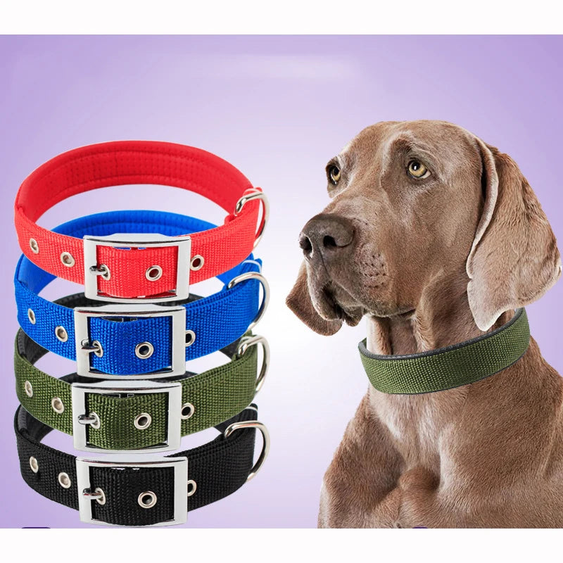 Nylon Dog Collar For Small Medium Large Dogs T