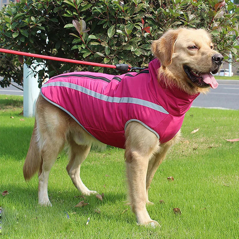 Waterproof Dog Clothes for Dogs