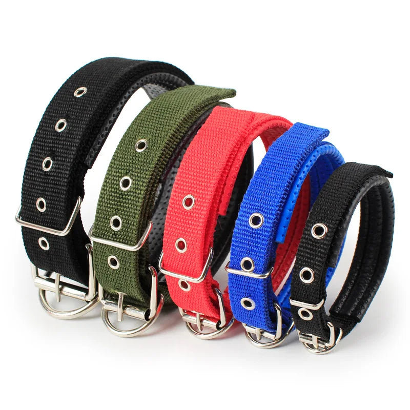 Adjustable Collar For Dog Cat  Small Large