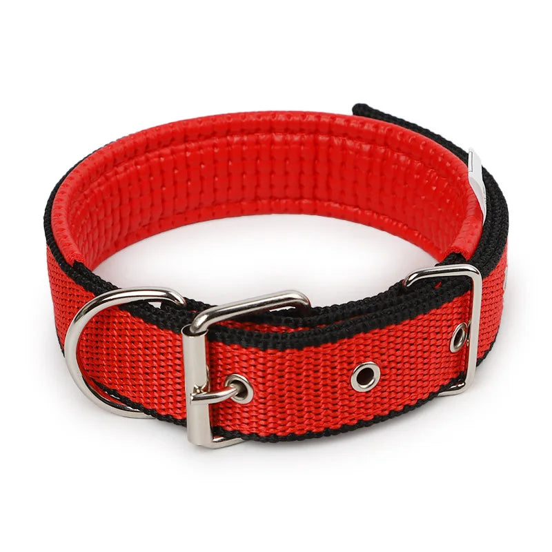 Adjustable Collar For Dog Cat  Small Large