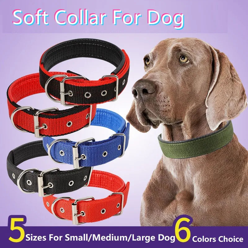 Adjustable Collar For Dog Cat  Small Large