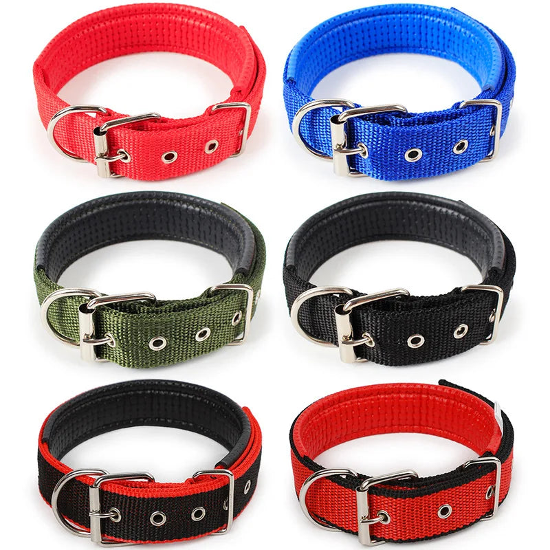 Adjustable Collar For Dog Cat  Small Large