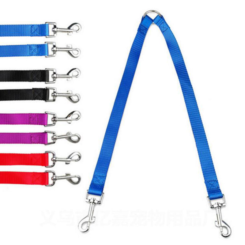 Outdoor Walking Two Dogs Leash