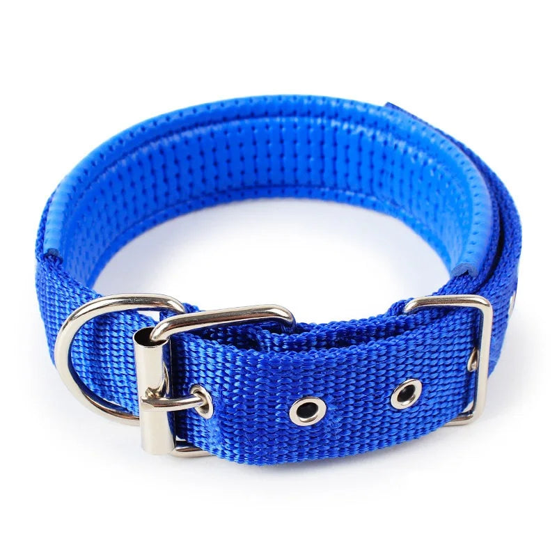 Adjustable Collar For Dog Cat  Small Large