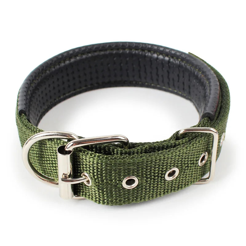 Adjustable Collar For Dog Cat  Small Large