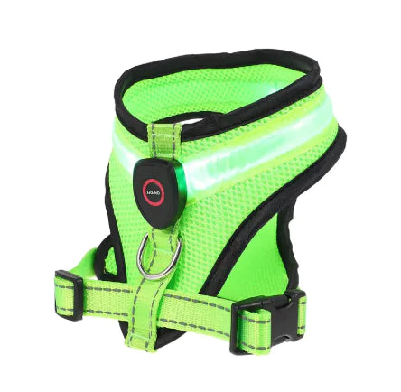 GlowPaws LED Dog Harness