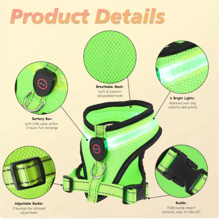 GlowPaws LED Dog Harness