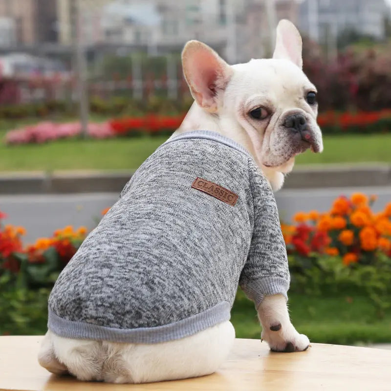 Dog Warm Sweatshirt Spring Autumn Winter