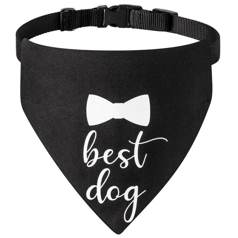 Fashion Dog Bandanas