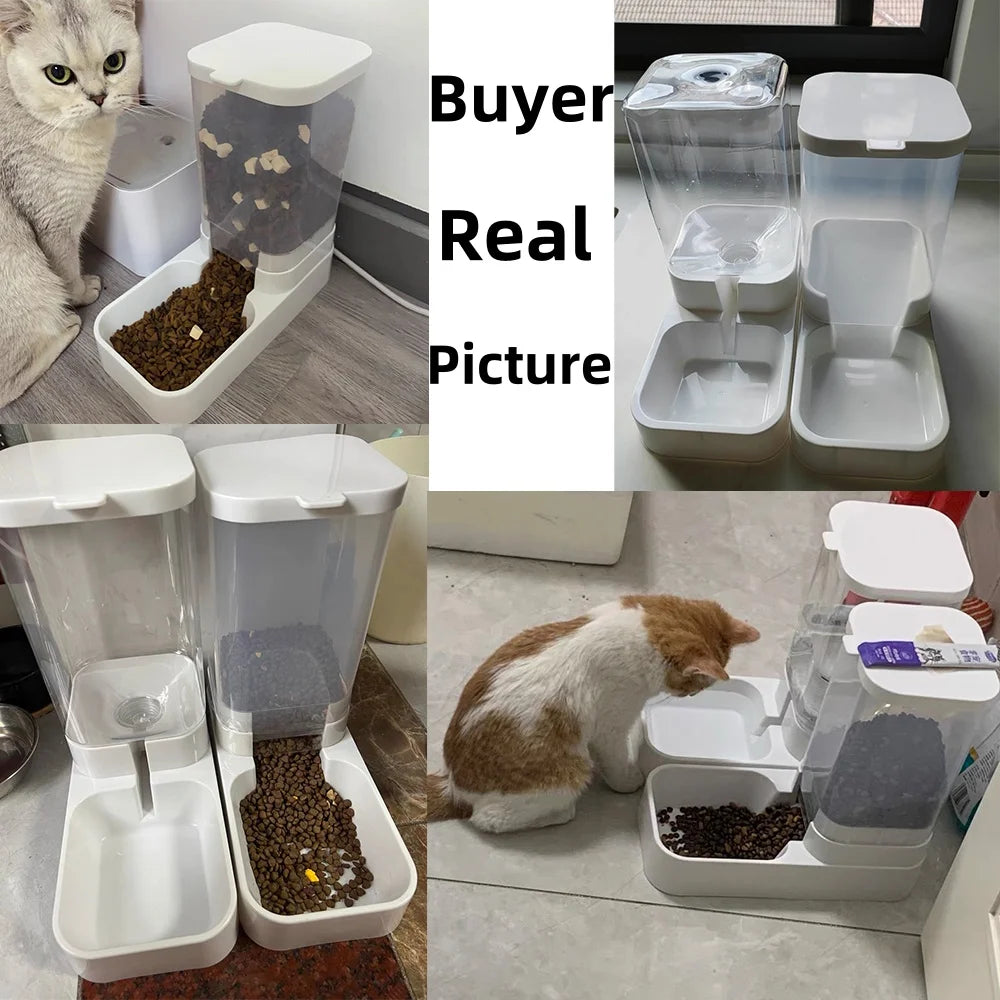 Dog and cat Feeder Water Dispenser Automatic