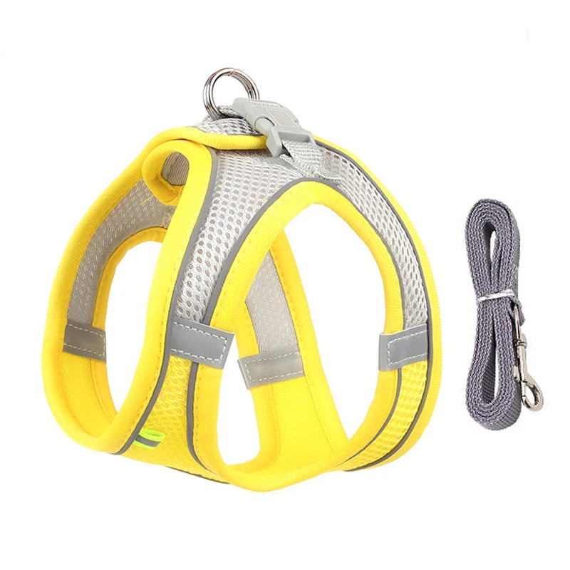 Dog Harness Leash Set for Small Dogs