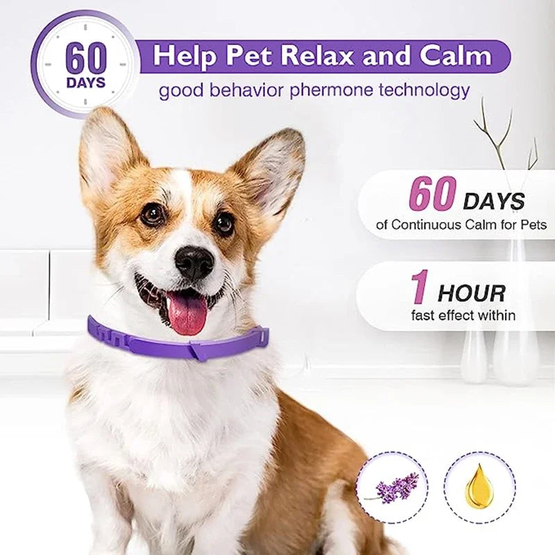 Dog Calming Pheromone Collar cat Relieve Anxiety