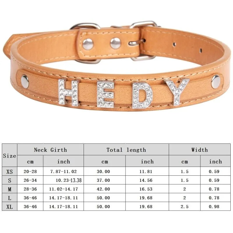 Custom Cat Dog Collar Personalized