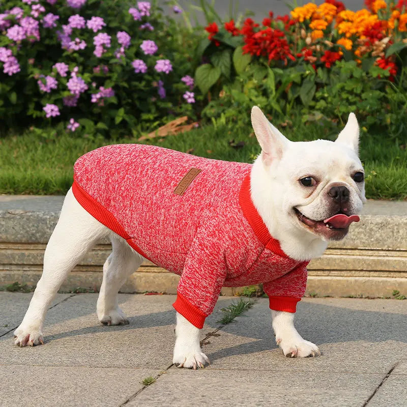 Dog Warm Sweatshirt Spring Autumn Winter