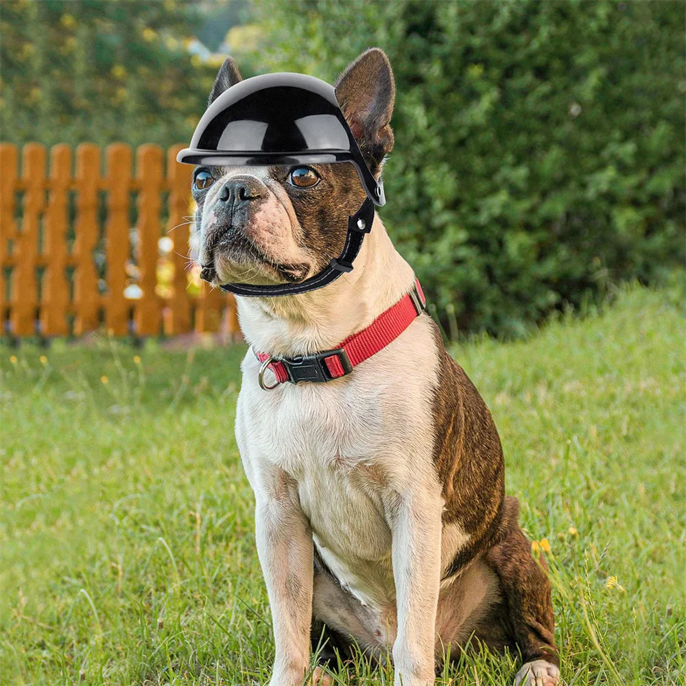 Cool Pet Dog Safety Helmet for Small Medium Dogs