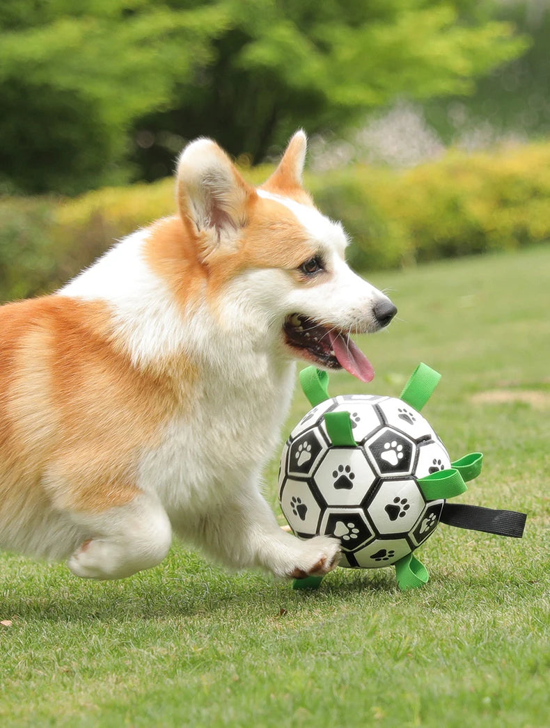 Kimpets Dog Interactive Football Toys