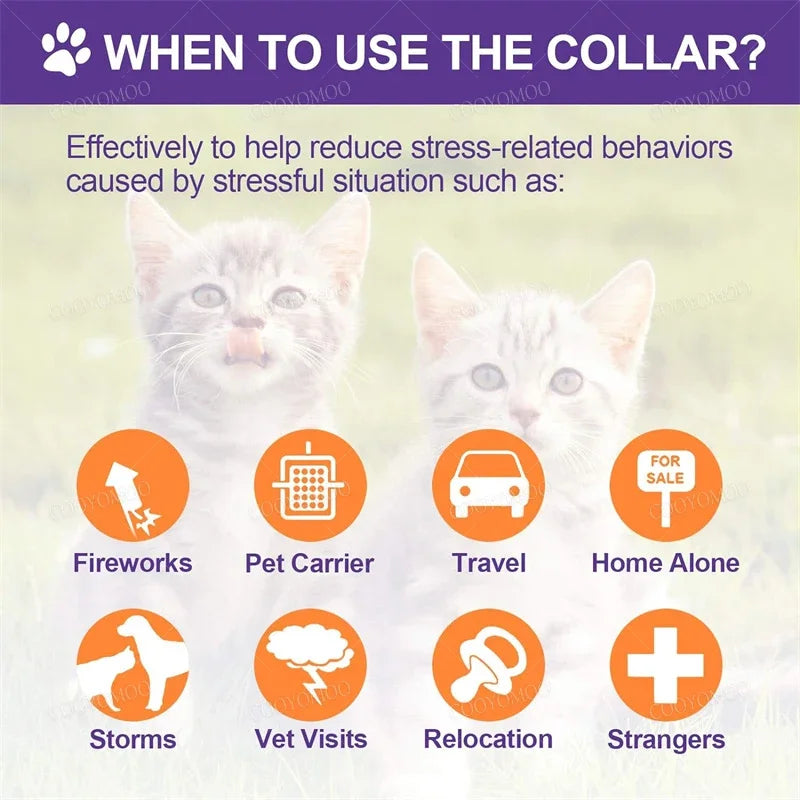 Dog Calming Pheromone Collar cat Relieve Anxiety