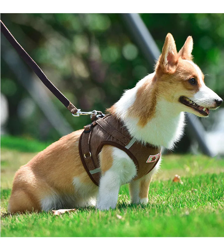 Dog Traction Rope Corduroy Breathable