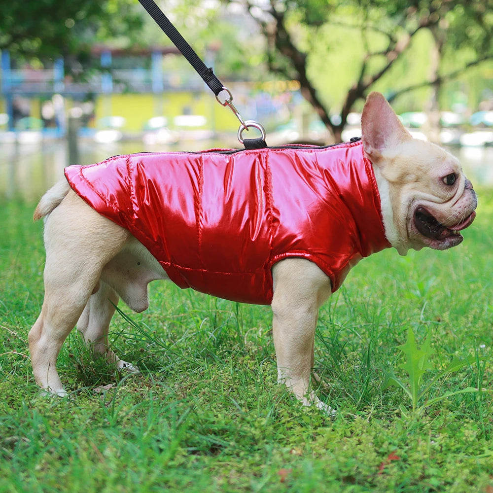 Dog Jacket For Small Medium Dogs Cats Windproof Waterproof