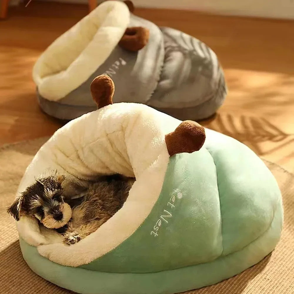 Dog Beds Shoes