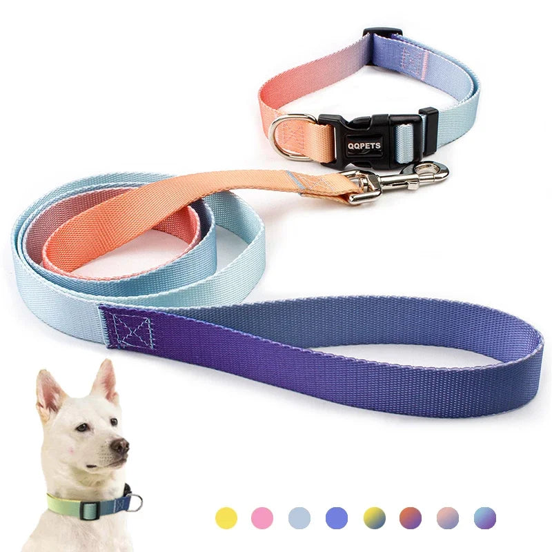 Nylon Adjustable Dog Collar