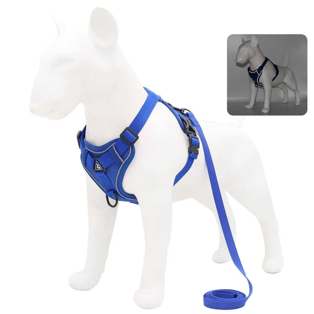 Harness and Leash Set Pet