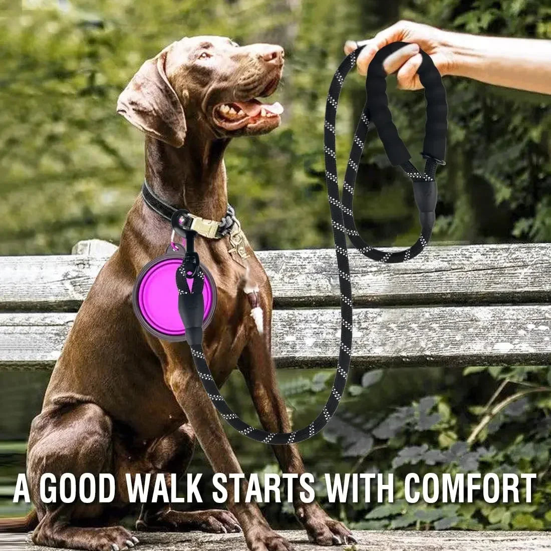 Reflective Leash for Big Small Medium Dogs