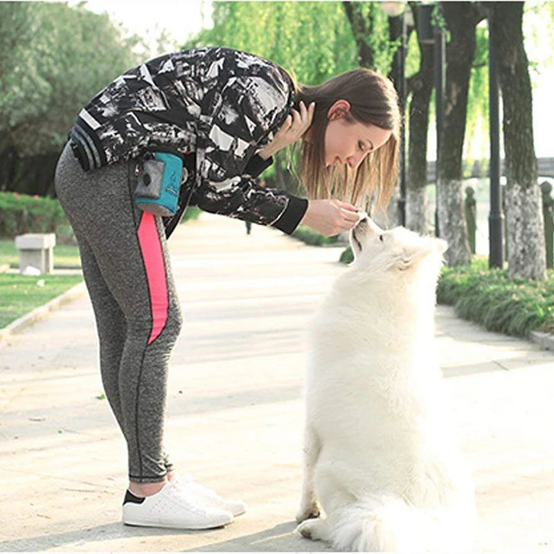 Outdoor Dog Trainings Bag Durable Poly 8 Colors