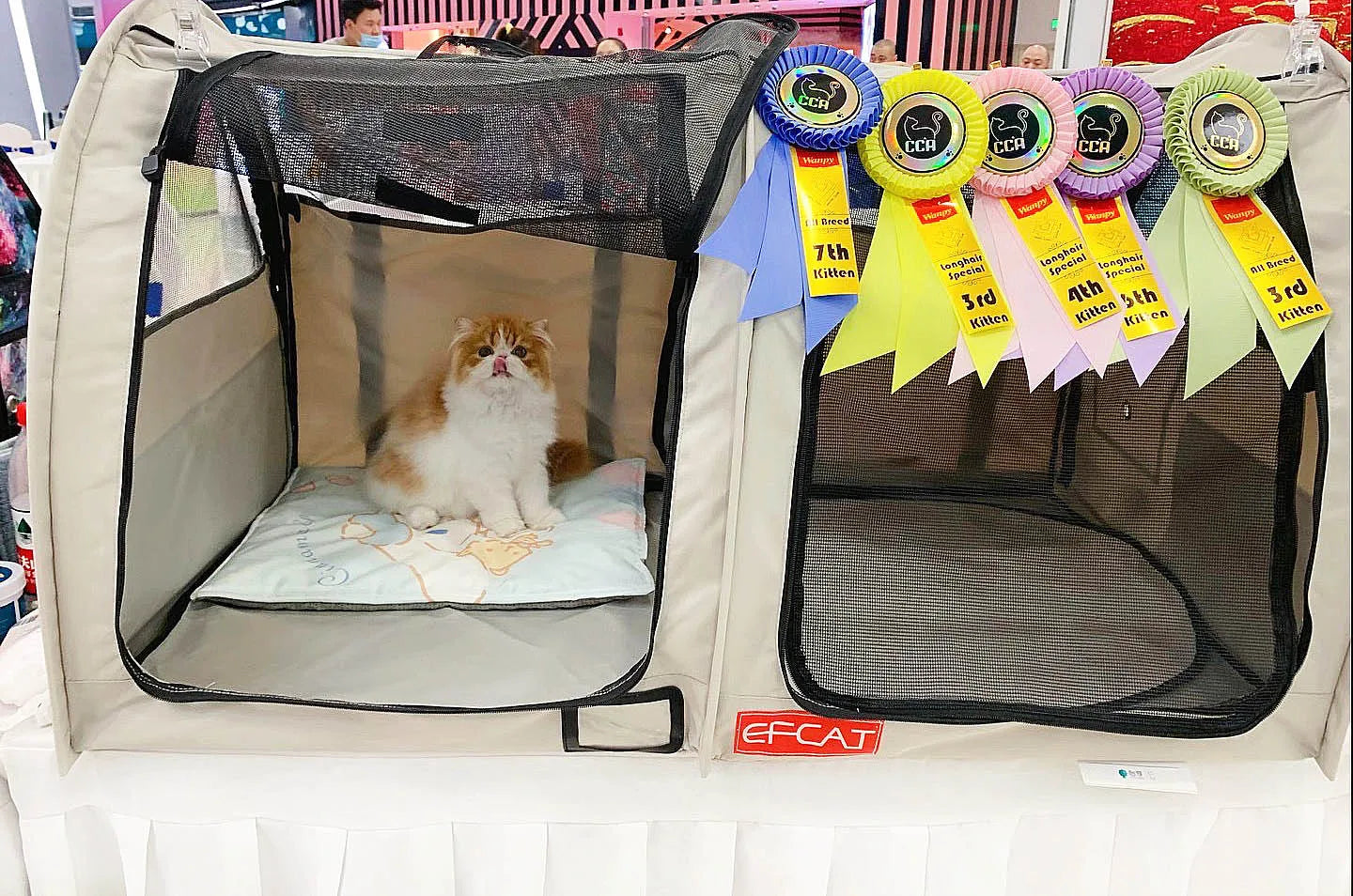 Large Pet Dog Cat Cage Foldable