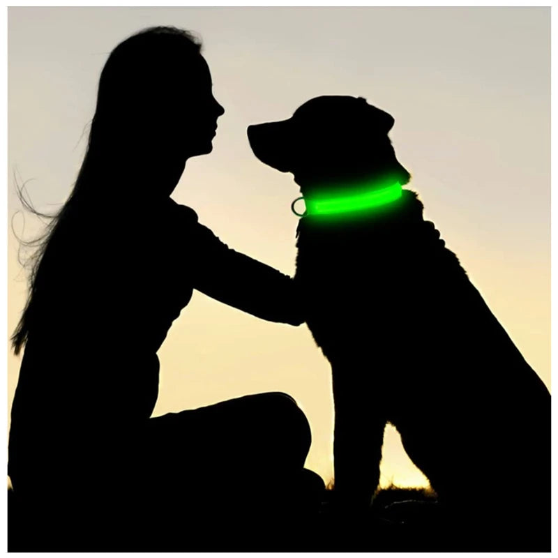 3 Modes Dog Luminous Charge Collar Led Usb