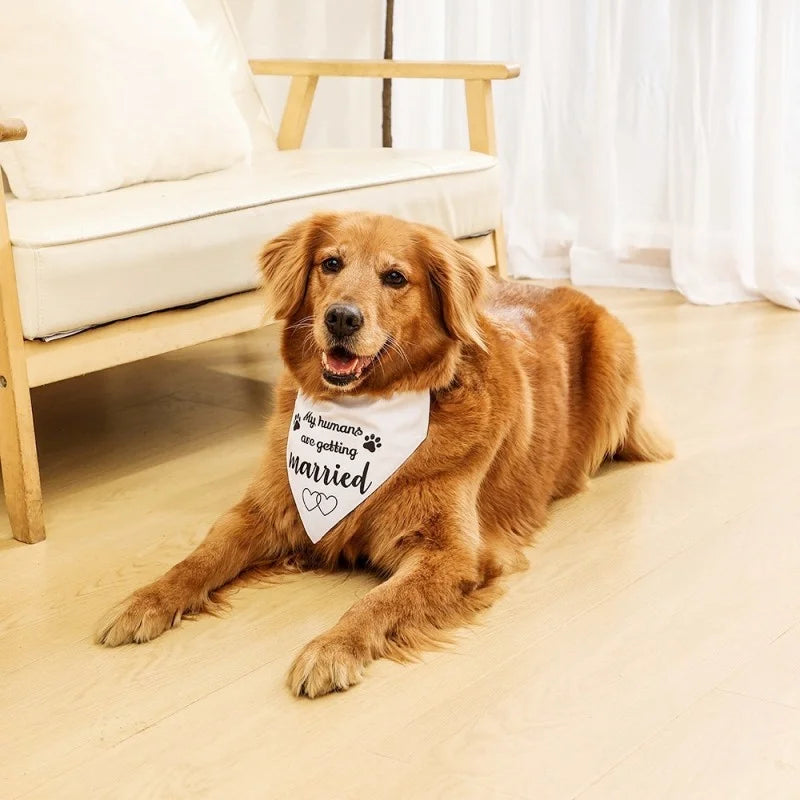 Fashion Dog Bandanas