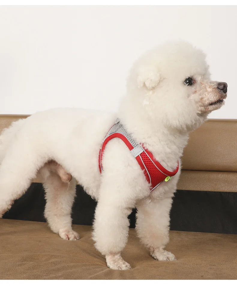 Adjustable Puppy Cat Dog Harness