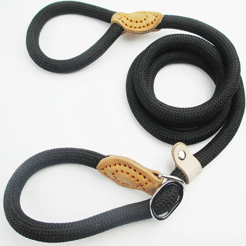 Dog Walking Leash Slip Rope