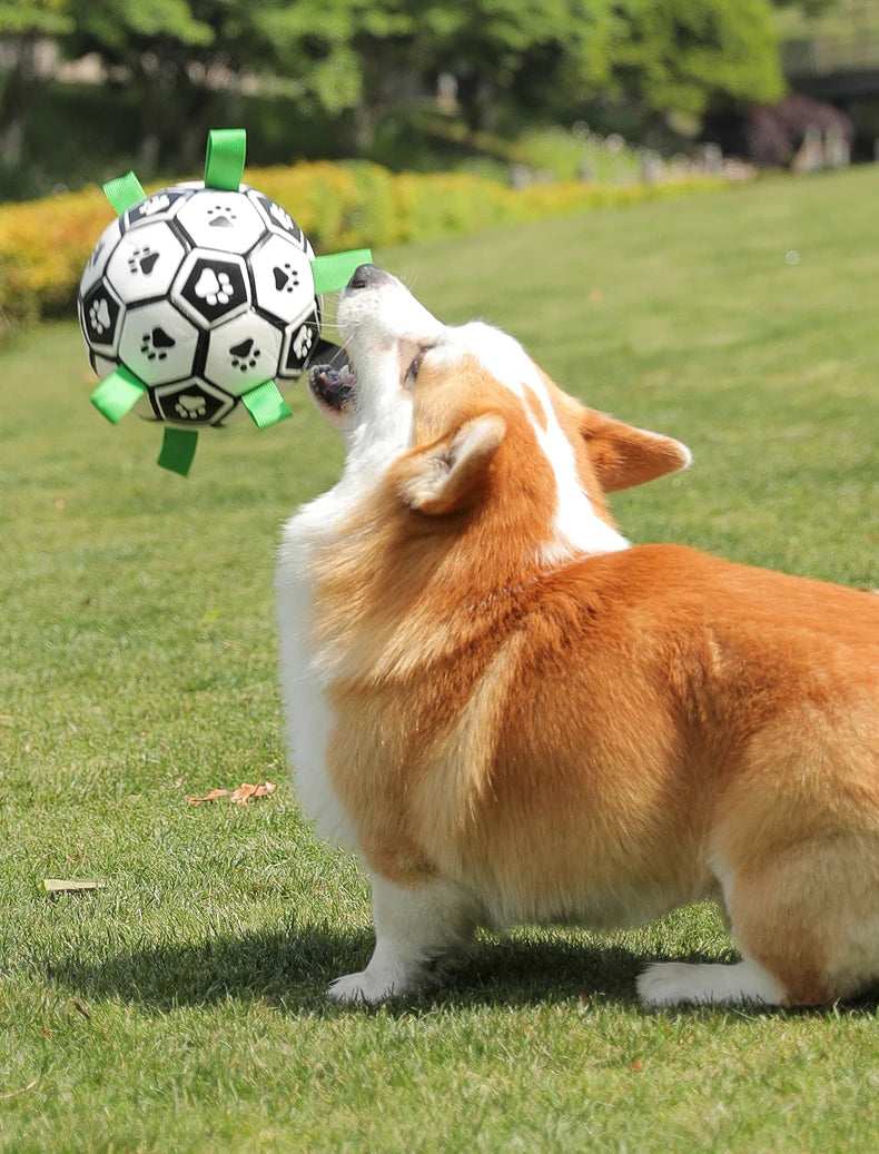 Kimpets Dog Interactive Football Toys