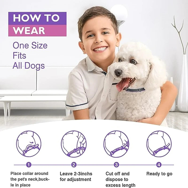 New Release 3/4 Pc Dog Calming Collar