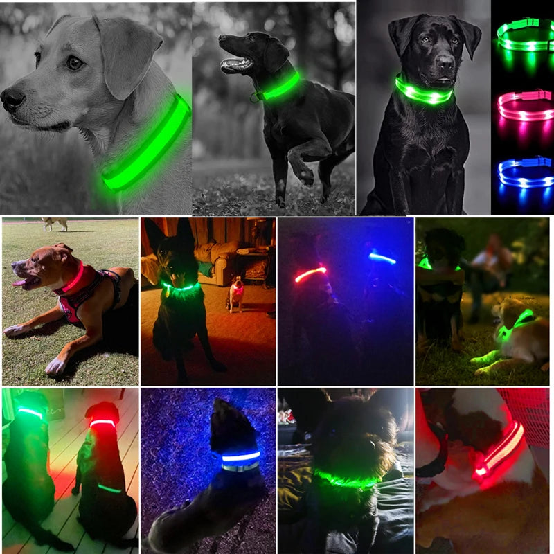 3 Modes Dog Luminous Charge Collar